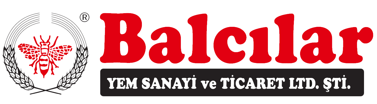 Umut Yıldırım - Biart Media - Biart Prodüksiyon - Reklam - Klip - Tanıtım Filmi - Çekim - Fotoğraf Çekimi - Web site Tasarımı - Katalog Tasarımı - Sosyal Medya Yönetimi - ANKARA - İSTANBUL - Klip çekimi - Sosyal Medya - tasarım